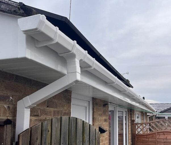 BDE336F2-22B4-46E1-A3F6-FFF0F2655F8D_1_105_c